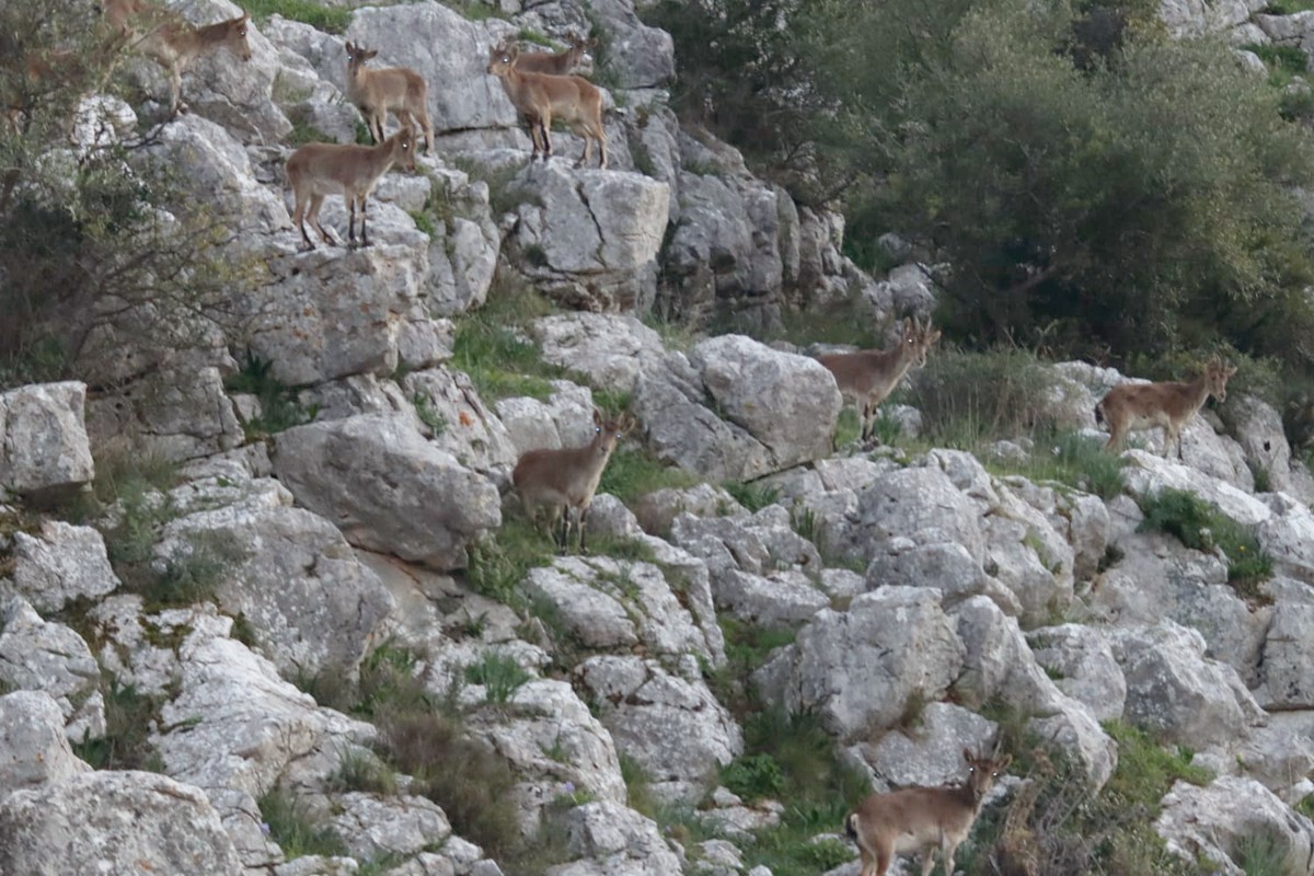 fa59ebe5-f551-456a-81b2-204443fb3c22